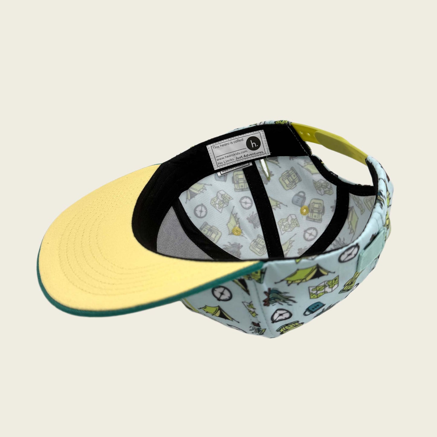 Explorer Snapback (Alpine)